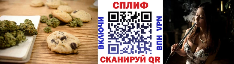 Cannafood марихуана  Магас 