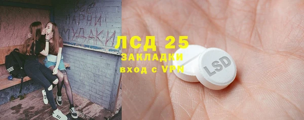 эйфоретик Белокуриха