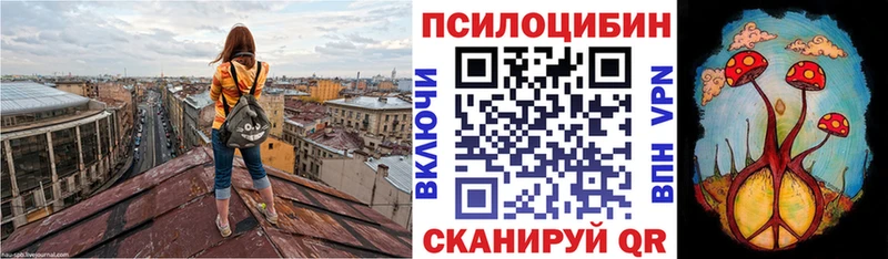 дарнет шоп Магас Псилоцибиновые грибы мицелий