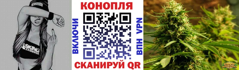 нарко площадка телеграм Магас МАРИХУАНА White Widow